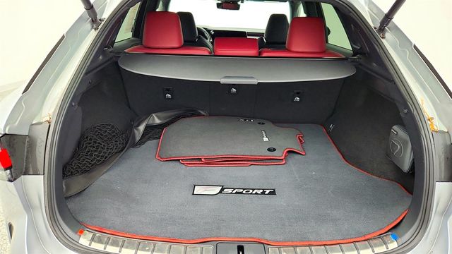 2024 Lexus RX RX 350 F SPORT Handling AWD w/ Mark Levinson & Triple-Beam LEDs - 22981336 - 19
