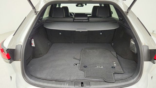 2024 Lexus RX RX 350 Premium AWD - 22945423 - 21