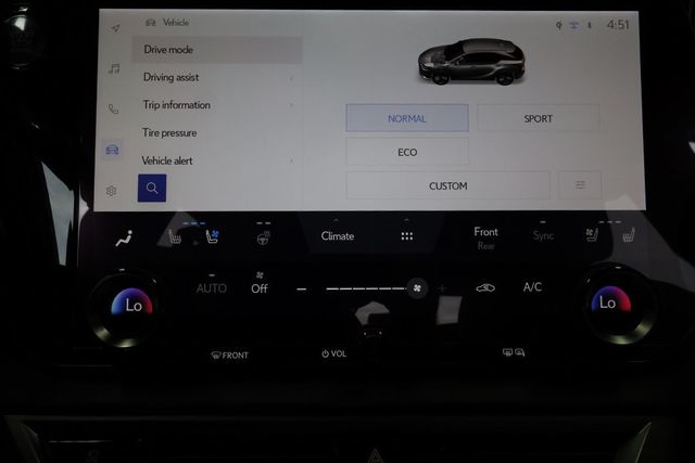 2024 LEXUS RX RX 350 Premium Plus FWD - 23093719 - 30