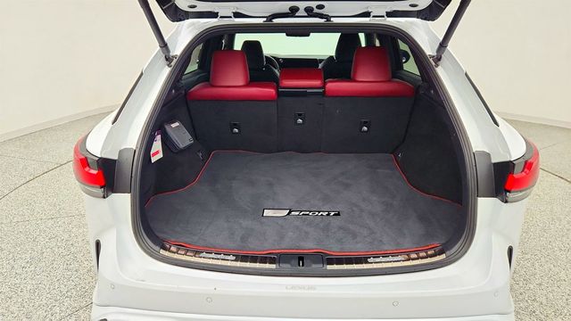 2024 Lexus RX RX 500h F SPORT Performance AWD - 23016910 - 21