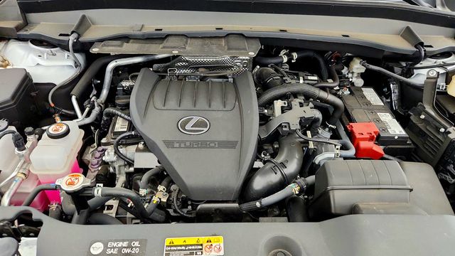 2024 Lexus TX TX 350 AWD - 23098983 - 24