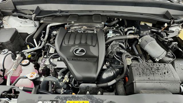 2024 Lexus TX TX 500h F SPORT Premium AWD w/ Tech. Pkg & Mark Levinson Sound - 22942863 - 24