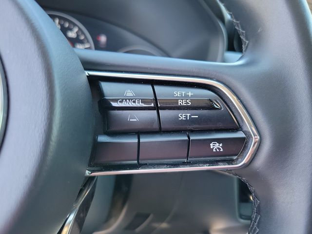 2024 Mazda CX-90 3.3 Turbo Premium AWD - 22921519 - 19