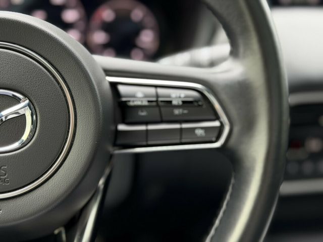 2024 Mazda CX-90 3.3 Turbo Premium Plus AWD - 23062512 - 34