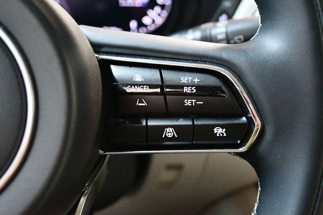 2024 Mazda CX-90 3.3 Turbo S Premium Plus AWD - 23055293 - 43