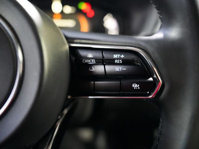 2024 Mazda CX-90 Phev Premium - 23076843 - 25