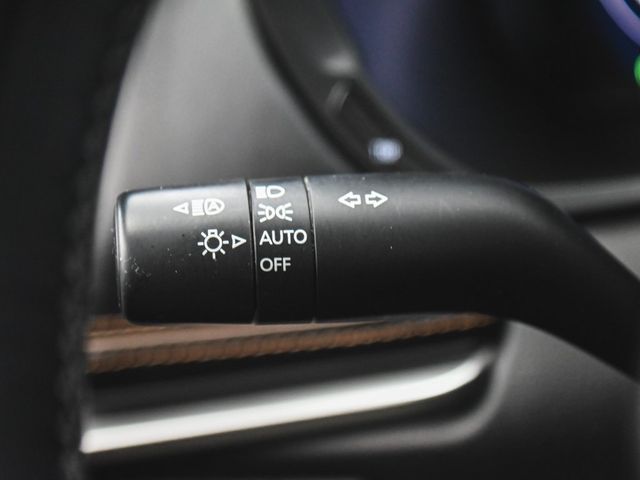 2024 Mazda CX-90 PHEV Premium Plus - 22979722 - 31