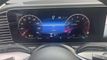 2024 Mercedes-Benz GLS GLS 450 4MATIC SUV - 23049970 - 19