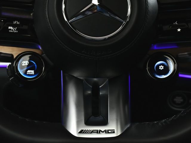 2024 Mercedes-Benz GLS GLS 63 AMG - 22889491 - 60