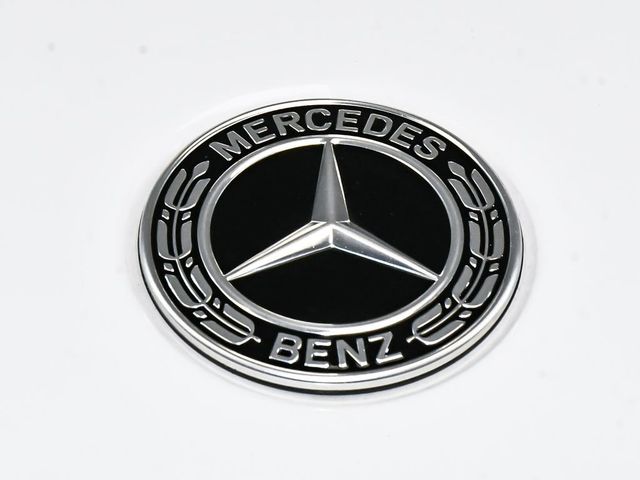2024 Mercedes-Benz G-Class G 63 AMG - 23049779 - 97