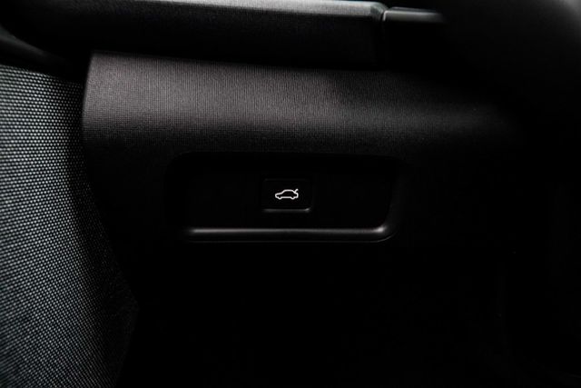 2024 Polestar 2 Long Range Dual Motor - 23079734 - 29
