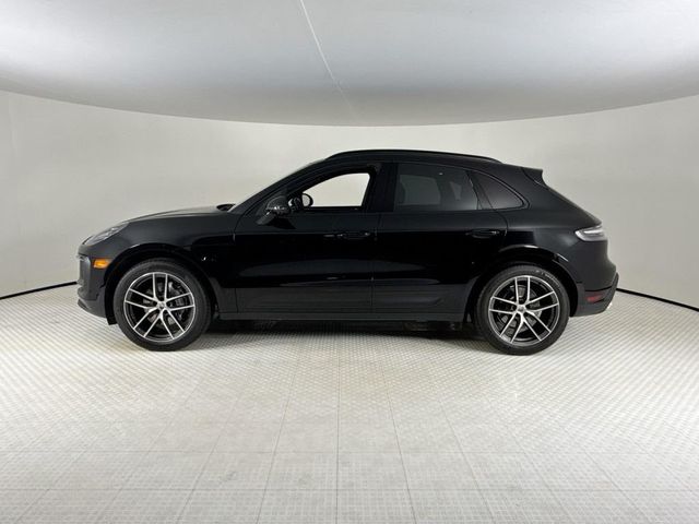 2024 Porsche Macan Base - 23061458 - 1