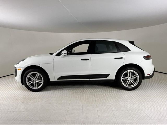2024 Porsche Macan Base - 23065277 - 1