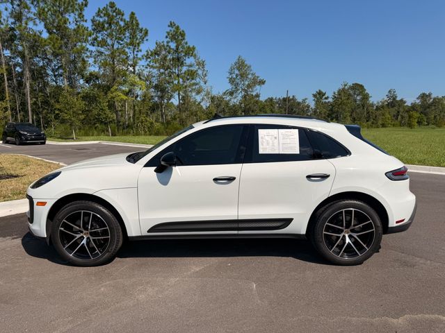 2024 Porsche Macan Base - 23067408 - 16