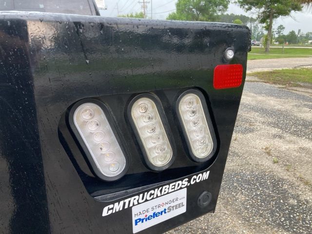 2024 Ram 5500 Chassis Cab Limited 4x4 Crew Cab 84" CA 197.4" WB - 22947183 - 14