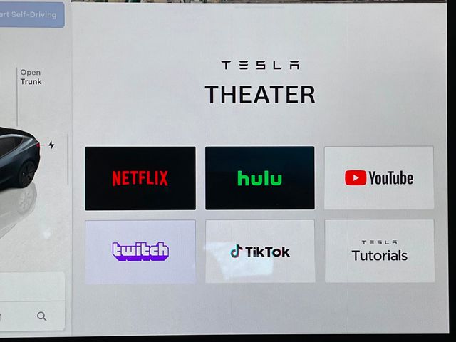 2024 Tesla Model 3 RWD - 22994042 - 39