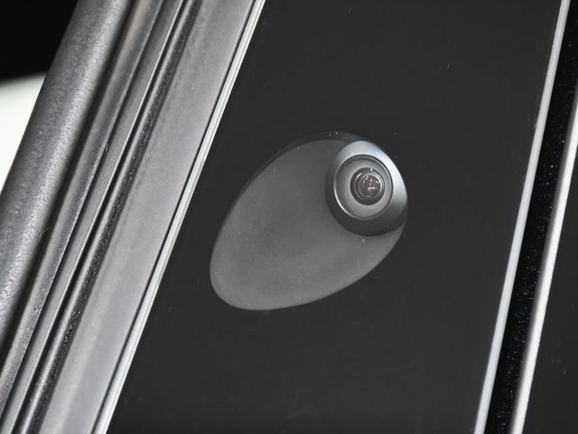 2024 Tesla Model X Base - 22994475 - 10