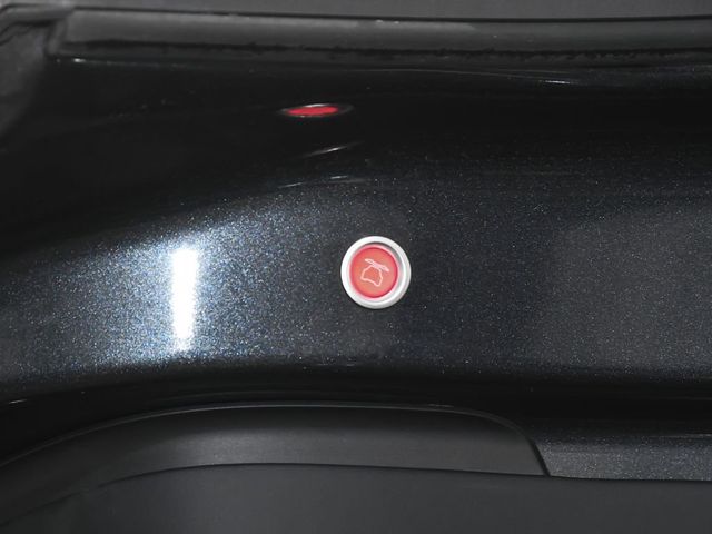 2024 Tesla Model X Base - 22994475 - 14