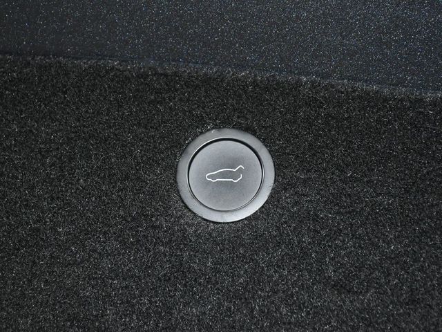 2024 Tesla Model X Base - 22994475 - 56