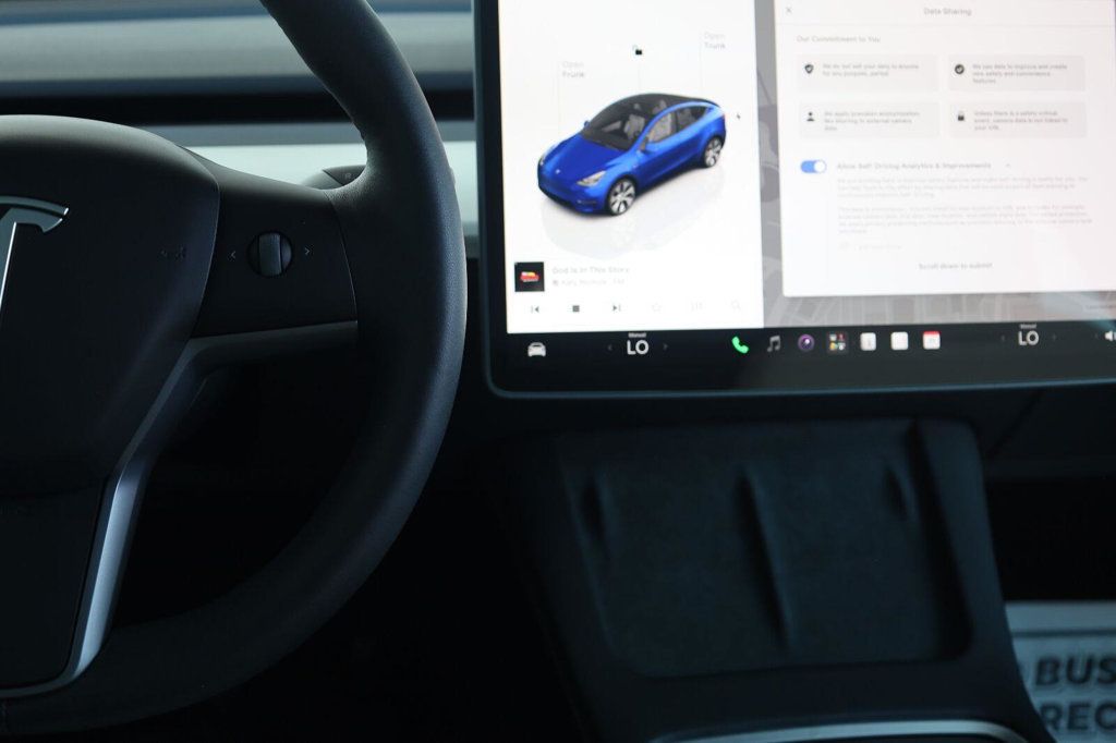 Tesla Model Y photo 31
