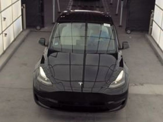 2024 Tesla Model Y Long Range AWD - 23095525 - 2