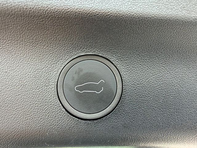 2024 Tesla Model Y Long Range AWD - 23043360 - 25