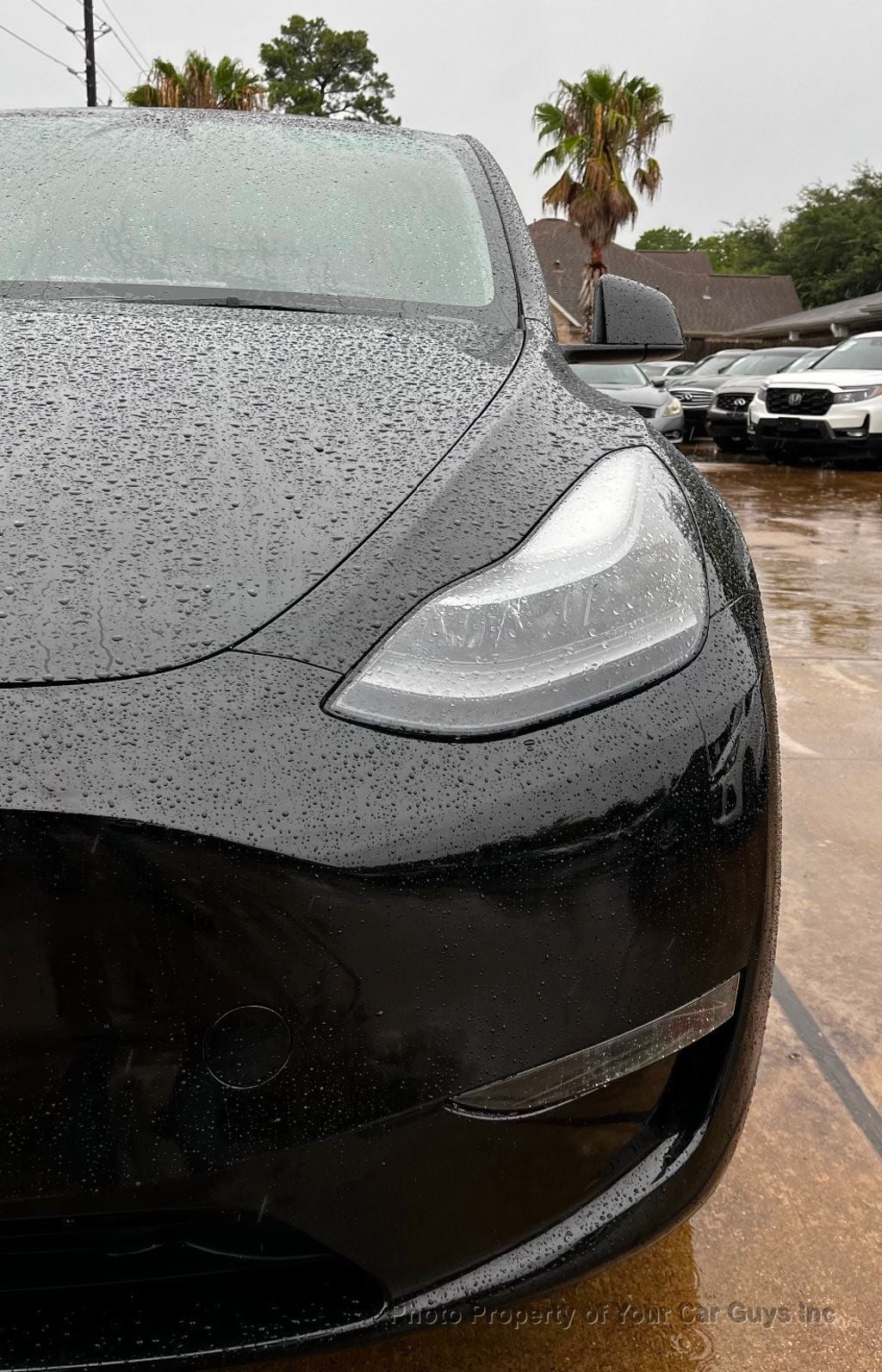 2024 Tesla Model Y RWD - 23053091 - 12
