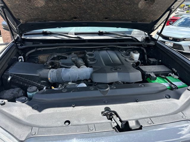 2024 Toyota 4Runner SR5 Premium 2WD - 23026316 - 19
