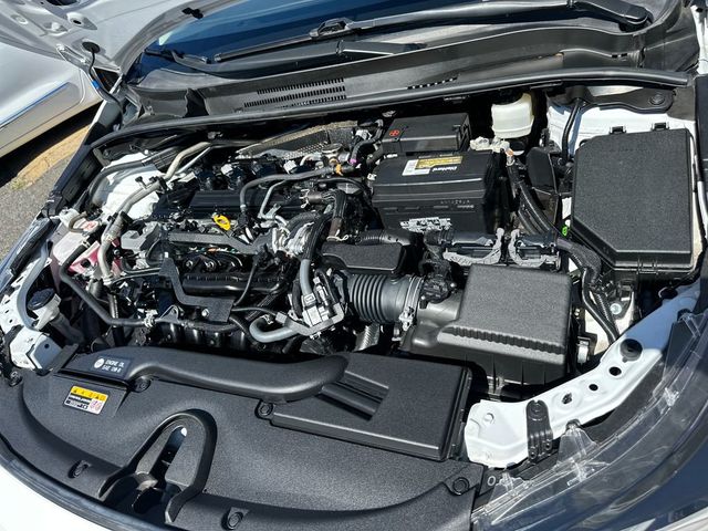 2024 Toyota Corolla LE CVT - 22954899 - 19
