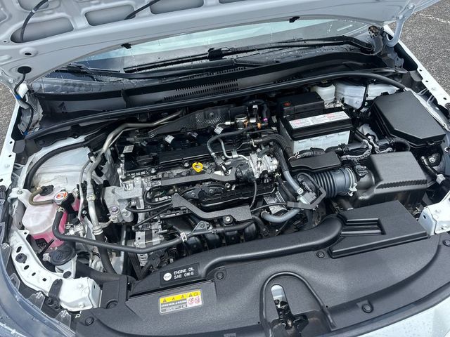 2024 Toyota Corolla SE CVT - 23034593 - 20