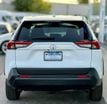 2024 Toyota RAV4 LE FWD - 22921866 - 3