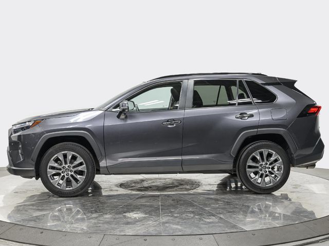 2024 Toyota RAV4 Limited - 23083299 - 1