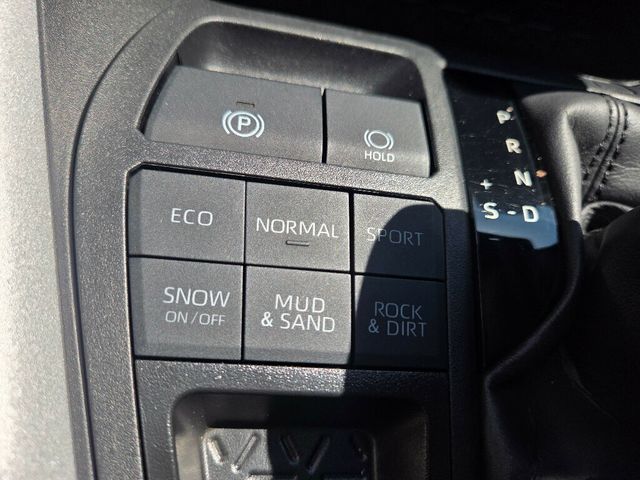 2024 Toyota RAV4 XLE AWD - 23063243 - 22