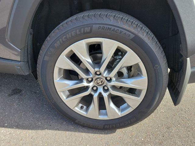 2024 Toyota RAV4 XLE Premium FWD - 23097014 - 25