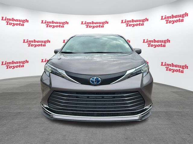 2024 Toyota Sienna XLE FWD 7-Passenger - 22938756 - 22
