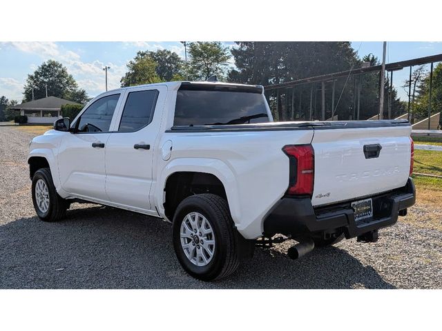 2024 Toyota Tacoma 4WD SR Double Cab 5' Bed Automatic - 22922790 - 4