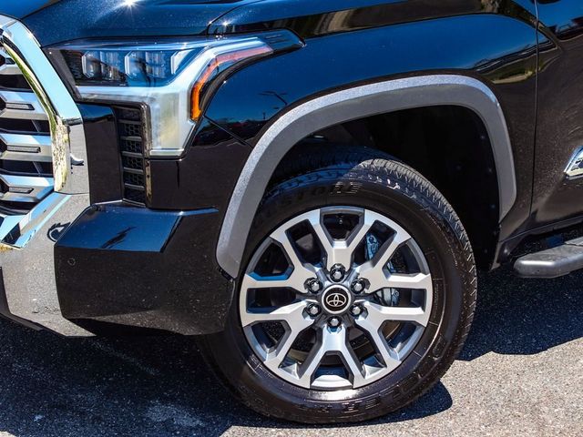 2024 Toyota Tundra 1794 Edition - 23076492 - 43