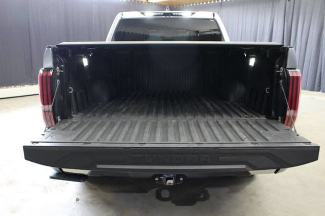 2024 Toyota Tundra 1794 Edition - 23077617 - 42