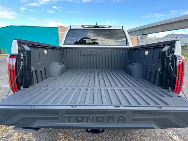 2024 Toyota Tundra 4WD Limited - 23023346 - 21