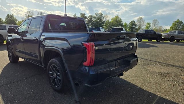 2024 Toyota Tundra 4WD PLATINUM - 23012216 - 4
