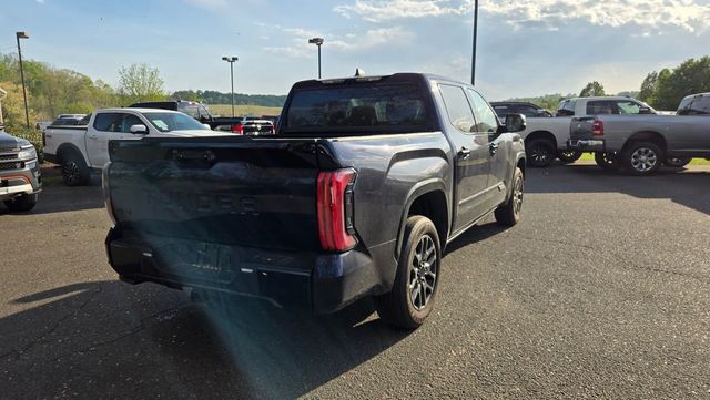 2024 Toyota Tundra 4WD PLATINUM - 23012216 - 6
