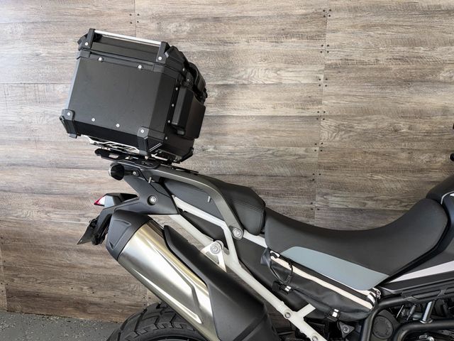2024 Triumph Tiger 900 Rally Aragon Edition SUPER CLEAN! - 23022977 - 5