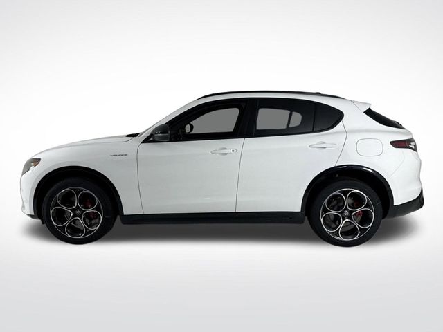 2025 Alfa Romeo Stelvio  - 22854846 - 1
