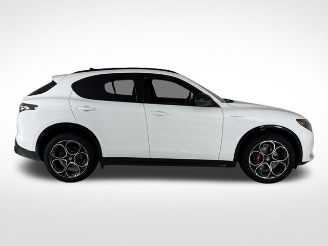 2025 Alfa Romeo Stelvio  - 22854846 - 5