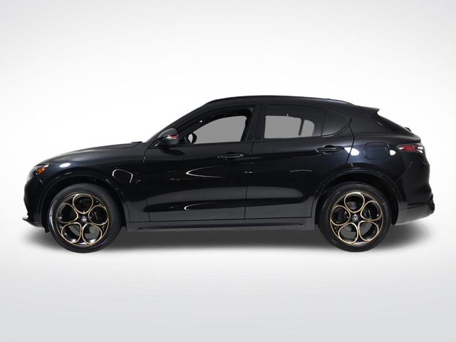 2025 Alfa Romeo Stelvio  - 22998388 - 1
