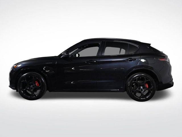 2025 Alfa Romeo Stelvio Base - 23026375 - 1