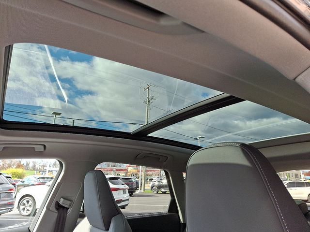 2025 Audi Q5 Premium Plus 2.0 TFSI quattro - 22944757 - 14