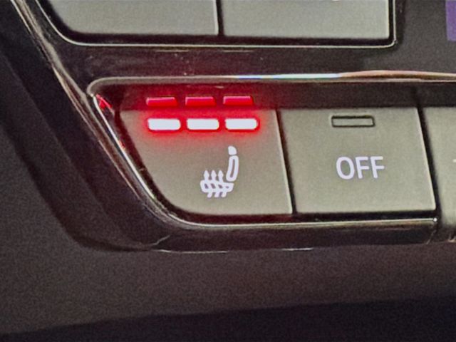 2025 Audi RS 3 2.5 TFSI - 22958160 - 21