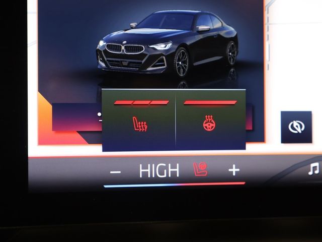 2025 BMW 2 Series M240i xDrive - 22975436 - 51