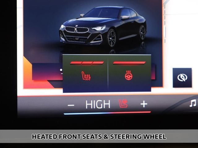 2025 BMW 2 Series M240i xDrive - 22975436 - 8